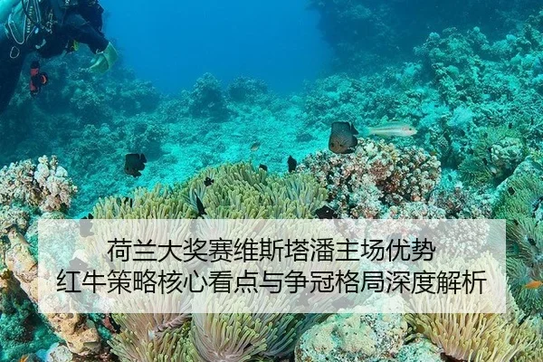 he-lan-da-jiang-sai-wei-si-ta-pan-zhu-chang-you-shi-hong-niu-ce-lve-he-xin-kan-dian-yu-zheng-guan-ge-ju-shen-du-jie-xi-1-968.jpg