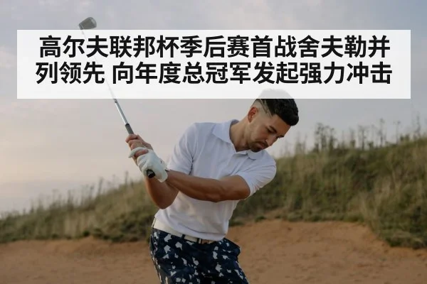professional golfer swing