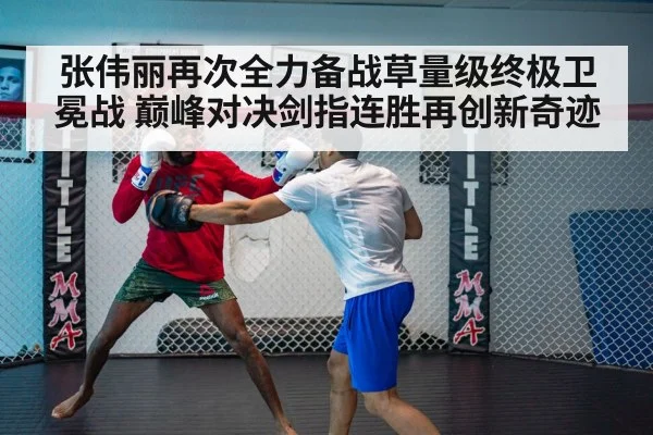 UFC fight cage